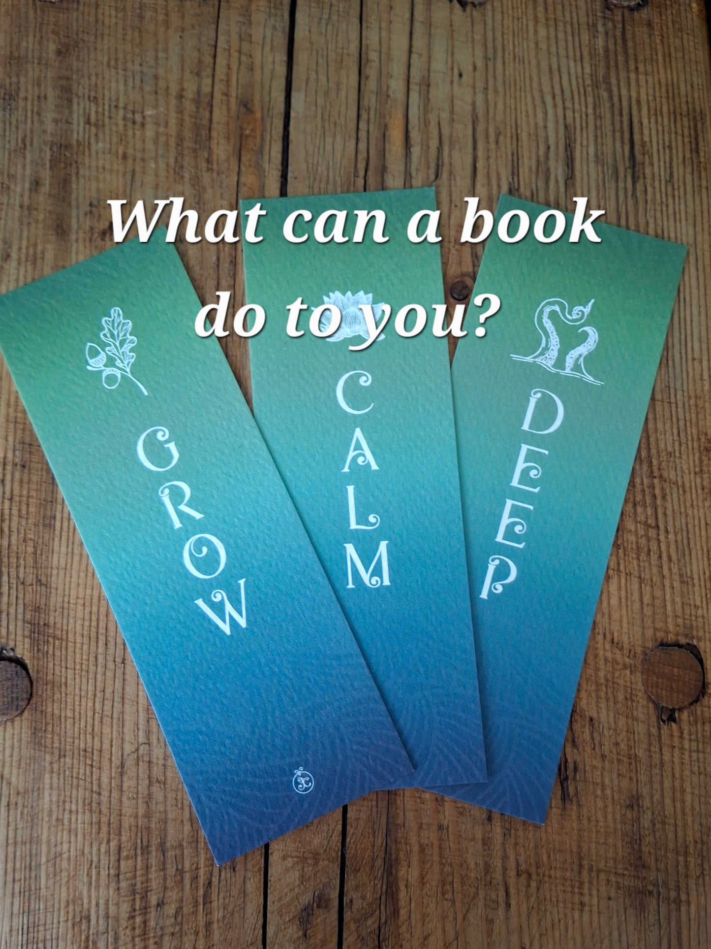 Bookmark Set of 3 "What books can do with you"