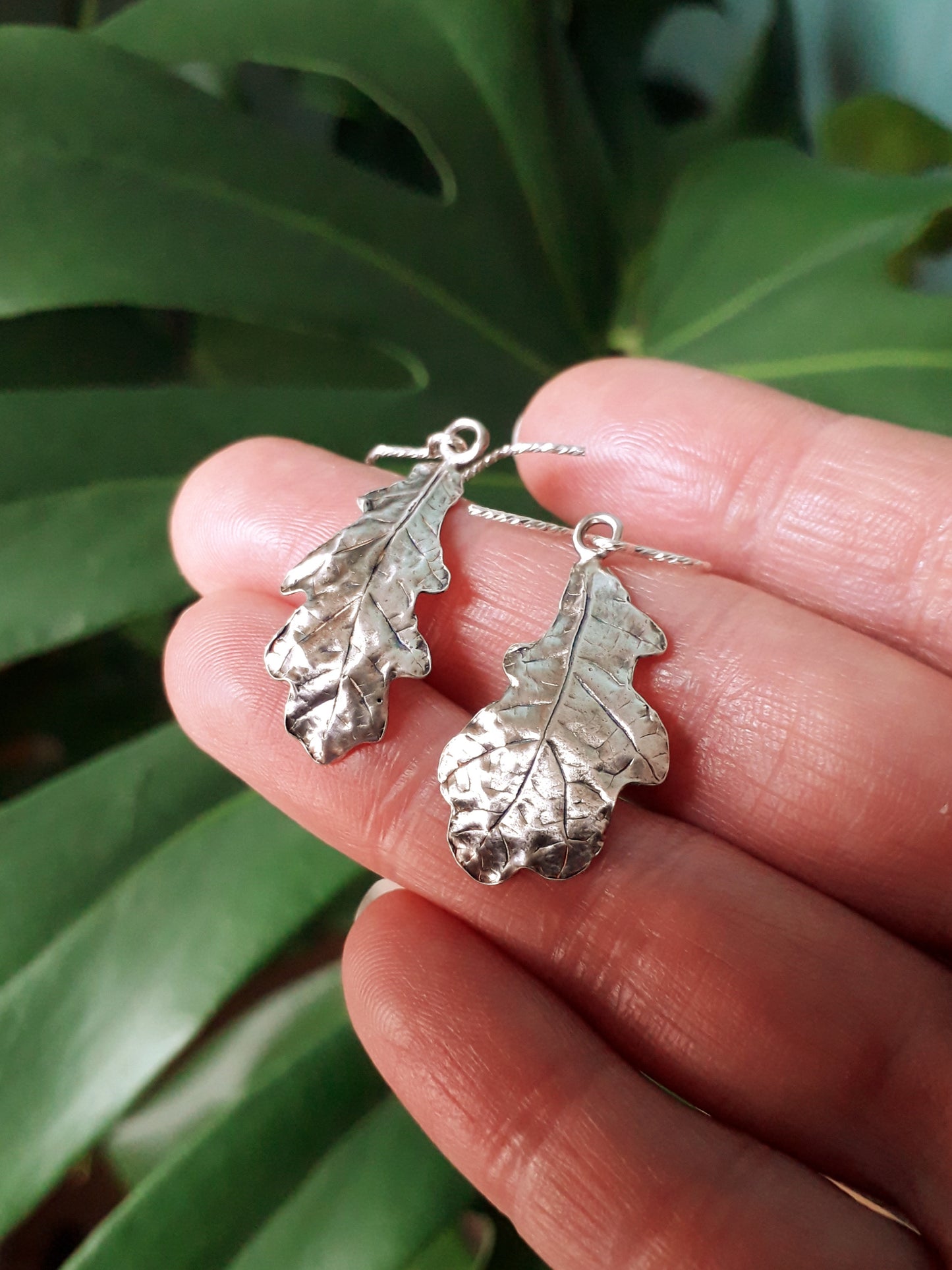 Real Oak Leaves - Silver Earrings