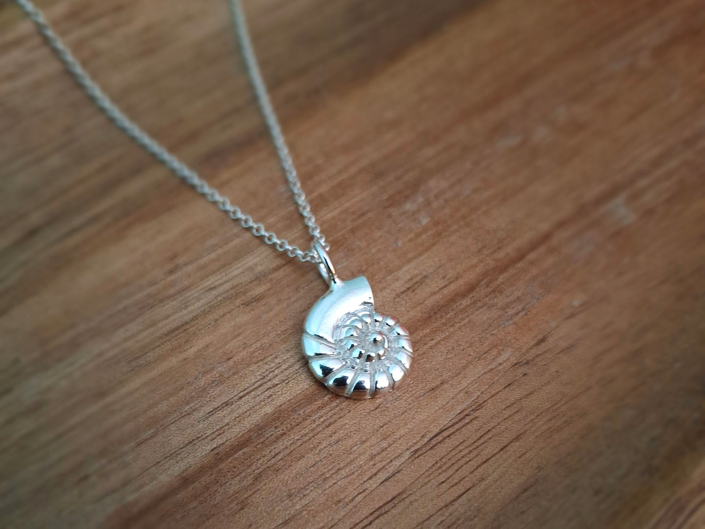 Silver Fossil Shell Charm Necklace