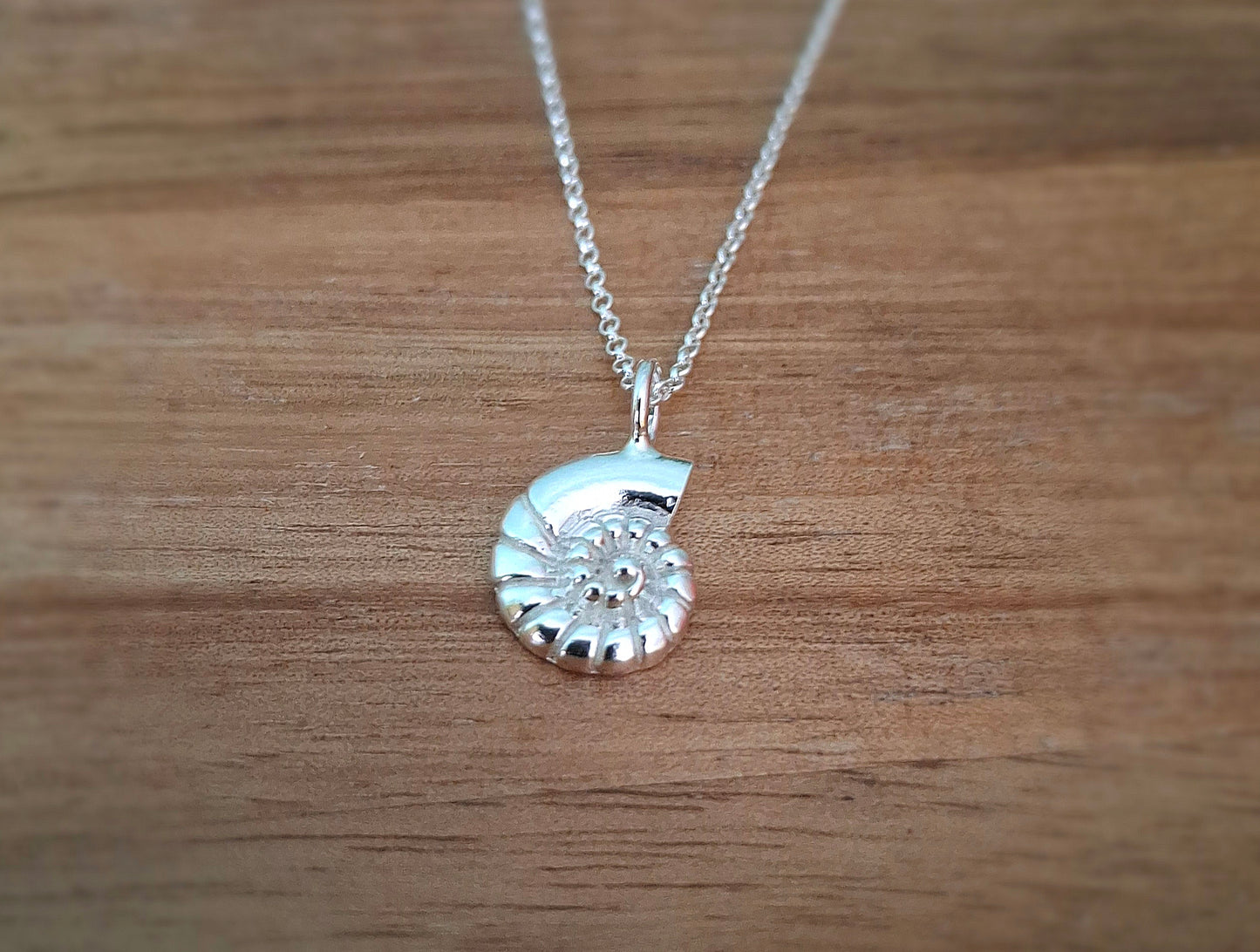 Silver Fossil Shell Charm Necklace