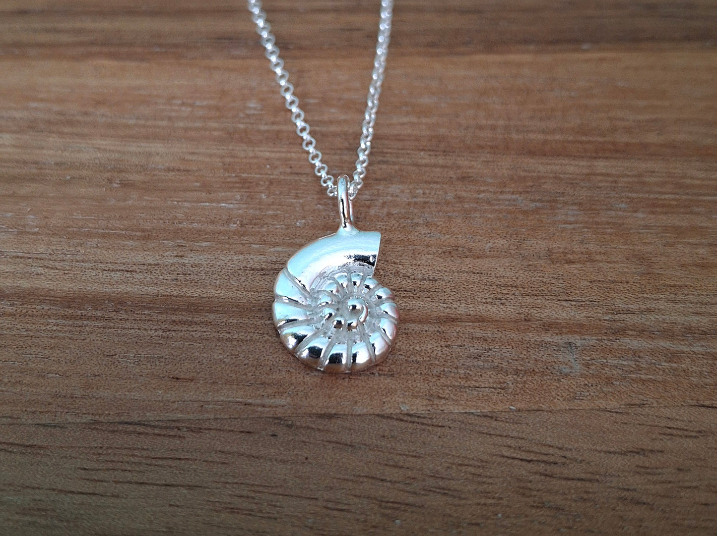 Silver Fossil Shell Charm Necklace